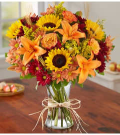 Fall Fields of Europe Fall. An arrangement by Fink Flowers, Gifts and Flower Delivery.