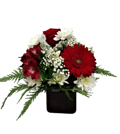 Red and White Wonder. An arrangement by Flowers Plus.
