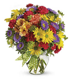 Make a wish with yellow Daisy. An arrangement by Incredible Florist.