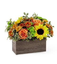 Happy Harvest Box. An arrangement by Fletcher Heights Florist.