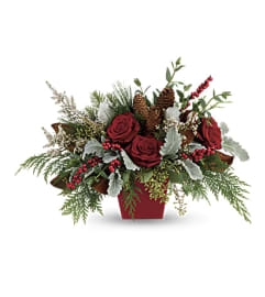 Winter Blooms by Teleflora. An arrangement by Love Floral.