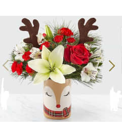 Rudolph's Surprise. An arrangement by Avenue Flowers and Gifts. Rudolph's Surprise. An arrangement by Avenue Flowers and Gifts.