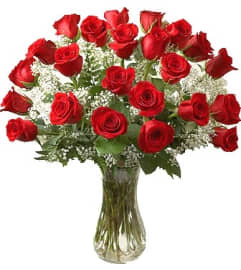 Twenty-Four Red Roses. An arrangement by Flower Lane.