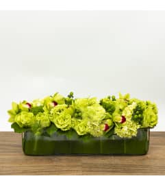 Caterpillar. An arrangement by Florique.