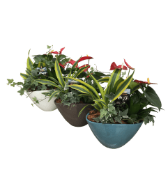 Eillen Planter. An arrangement by Owen Sound Flowers.