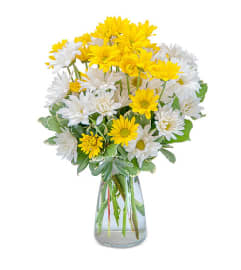 ASSORTED LONG LASTING DAISIES ARRANGED IN A VASE. An arrangement by Flowers by Priscilla.
