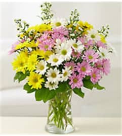Spring Lovin'. An arrangement by Flowers by Anna.