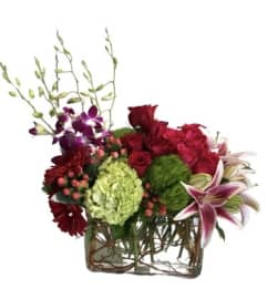 Beauty Compiled. An arrangement by The Flower Patch Florist. Beauty Compiled. An arrangement by The Flower Patch Florist.