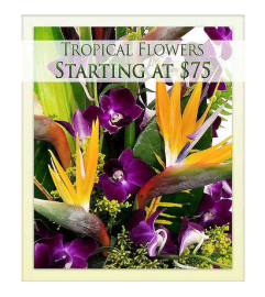Tropical Designer's Choice 2020. An arrangement by Shalimar Flower Shop.