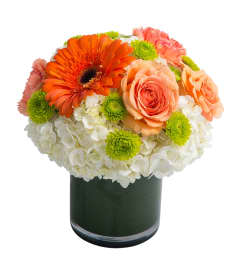 Orange and Lime Cylinder. An arrangement by Prestige Floral.