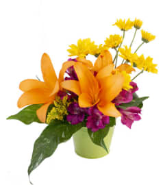 FSN - LIFE IN LILIES. An arrangement by Erika's Flowers.