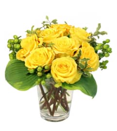 FSN-TOMORROW'S PROMISE. An arrangement by Erika's Flowers.