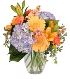 FSN-FILLED WITH DELIGHT. An arrangement by Erika's Flowers.