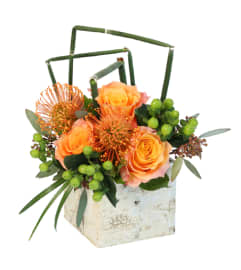 FSN-MODERN DAY ROMANCE. An arrangement by Erika's Flowers.