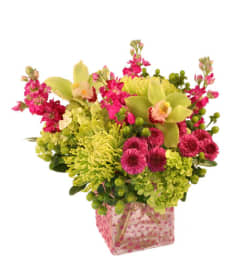 FSN-POLKA DOT POSIES. An arrangement by Erika's Flowers.