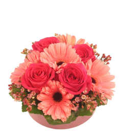 FSN-BASHFUL BLOSSOMS. An arrangement by Erika's Flowers.