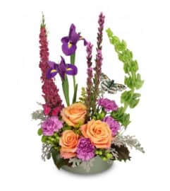 FSN-BUTTERFLY GARDEN. An arrangement by Erika's Flowers.