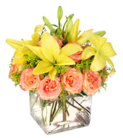 FSN-HAVE A LOVELY DAY!. An arrangement by Erika's Flowers.