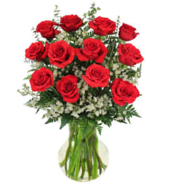 FSN-RED ROSES AND WHISPY WHITES. An arrangement by Erika's Flowers.