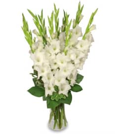 FSN-TRANQUIL LIGHT. An arrangement by Erika's Flowers.