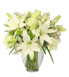 FSN-SIMPLICITY ARRANGEMENT. An arrangement by Erika's Flowers.