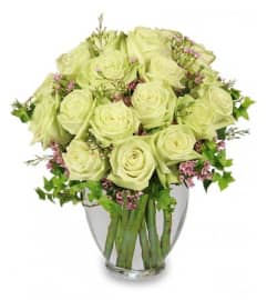 FSN-REMARKABLE ROSES. An arrangement by Erika's Flowers.