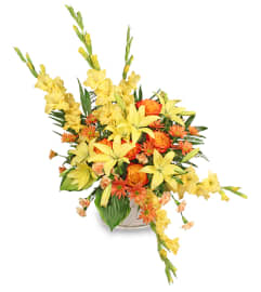 FSN-ENDLESS DEVOTION. An arrangement by Erika's Flowers.