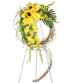 FSN-SUNSHINE OF LIFE. An arrangement by Erika's Flowers.