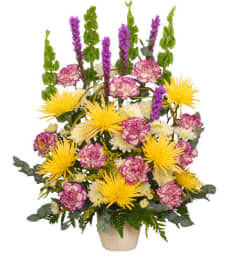 FSN-THOUGHTFUL REFLECTIONS. An arrangement by Erika's Flowers.