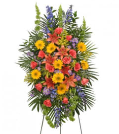 FSN-VIBRANT FLORAL EXPRESSIONS. An arrangement by Erika's Flowers.
