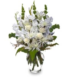 FSN-PEACEFUL COMFORT. An arrangement by Erika's Flowers.