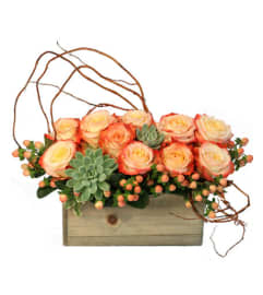 FSN-LOVER'S SUNRISE. An arrangement by Erika's Flowers.