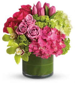 new sensation. An arrangement by Hooray's From Hollywood Inc.