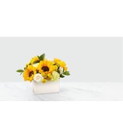 Sweet As Lemonade Bqt. An arrangement by Hooray's From Hollywood Inc.
