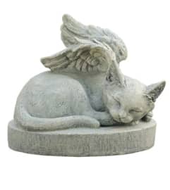 SYMPATHY CAT. An arrangement by J.D. Ballantine's Flowers and Gifts.