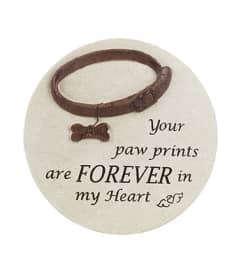 PET STEPPING STONE. An arrangement by J.D. Ballantine's Flowers and Gifts.