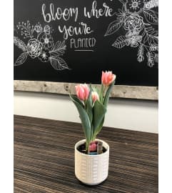 Pink Tulip Planter. An arrangement by Grande Prairie Florist.