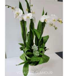 White Orchid Glamour. An arrangement by Brickell Exclusive Blooms.
