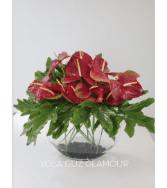 Red Anthurium Low Design. An arrangement by Brickell Exclusive Blooms.
