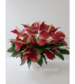 Red Anthurium in White Container. An arrangement by Brickell Exclusive Blooms.