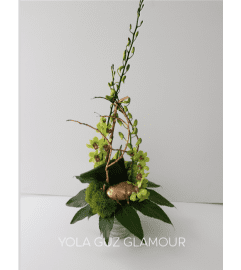 Luxurious Green Orchids. An arrangement by Brickell Exclusive Blooms.