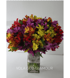 Passion Alstromerias. An arrangement by Brickell Exclusive Blooms.