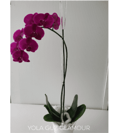 Purple Channel Orchid. An arrangement by Brickell Exclusive Blooms.