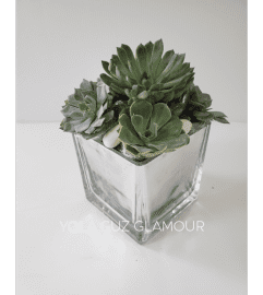 Succulents in Cube. An arrangement by Brickell Exclusive Blooms.