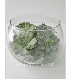 Succulents in Glass Bowl. An arrangement by Brickell Exclusive Blooms.