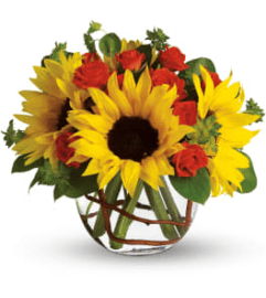 sunflower delight today. An arrangement by Garden of Elegance.