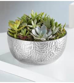 Cacti Garden in silver. An arrangement by Aventura Glamour Flowers. Cacti Garden in silver. An arrangement by Aventura Glamour Flowers.