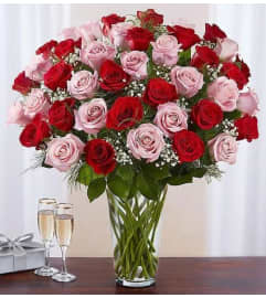 60 Long Stem Pink And Red Roses Luxury Vase. An arrangement by Aventura Glamour Flowers. 60 Long Stem Pink And Red Roses Luxury Vase. An arrangement by Aventura Glamour Flowers.