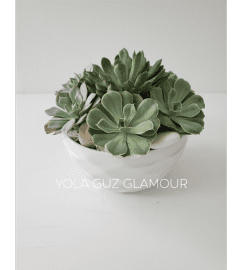 Succulents in White Ceramic Container. An arrangement by Brickell Exclusive Blooms.