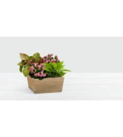 PINK LOVE GARDEN. An arrangement by Last Minute Gifts and Flowers.